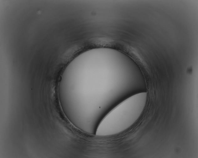 X0000091720259200708241027