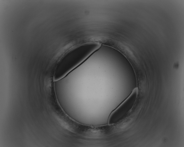 X0000091720260200708241027