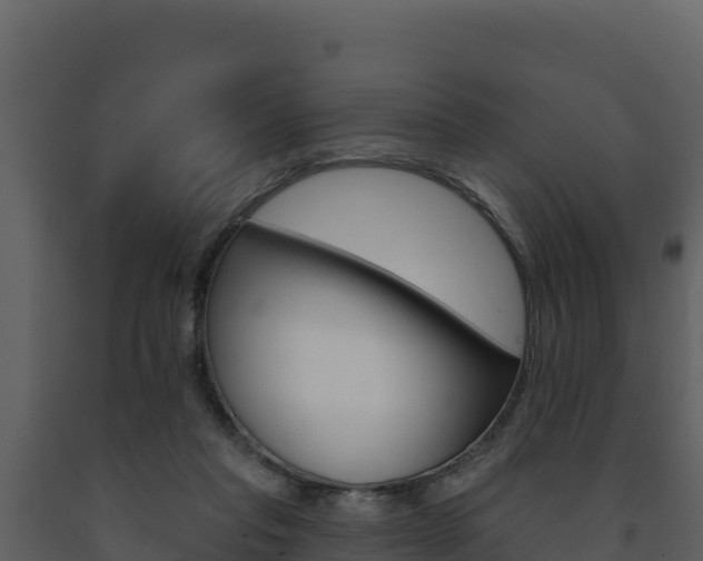X0000091720261200708241027
