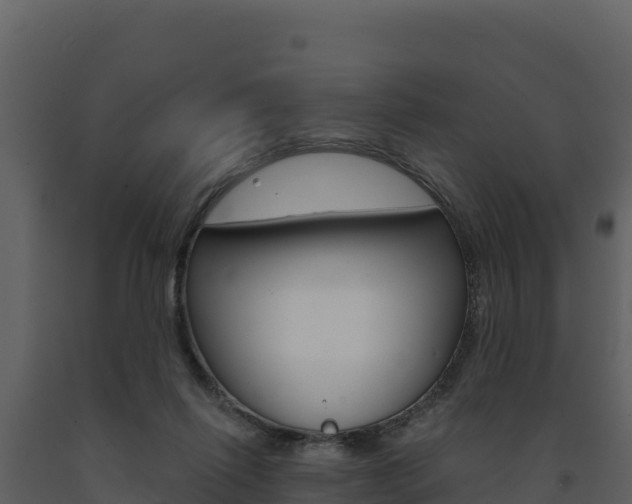 X0000091720262200708241027