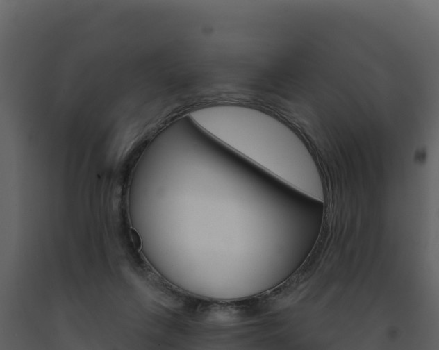 X0000091720263200708241027