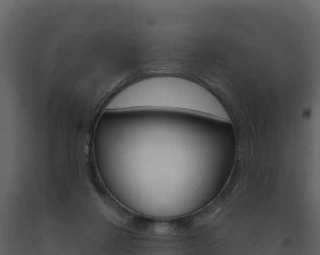 X0000091720264200708241027