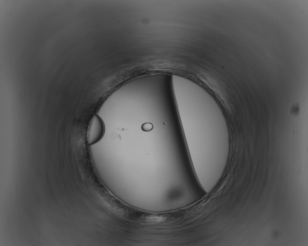 X0000091720265200708241027