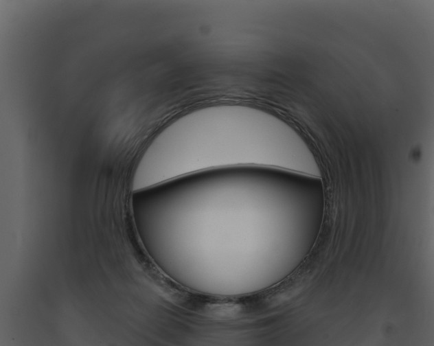 X0000091720266200708241027