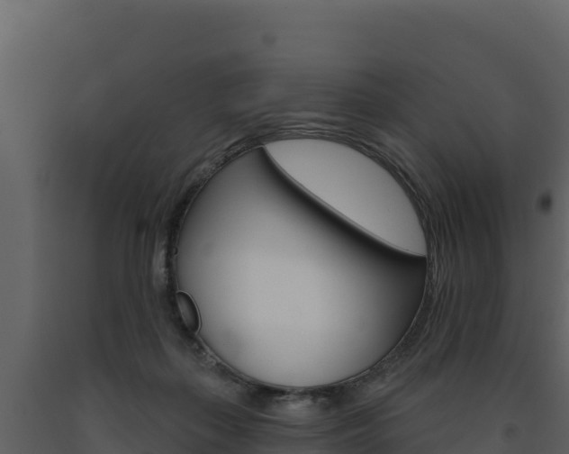 X0000091720267200708241027