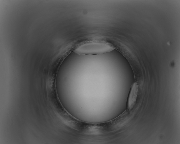 X0000091720268200708241027