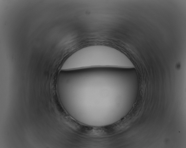 X0000091720270200708241027