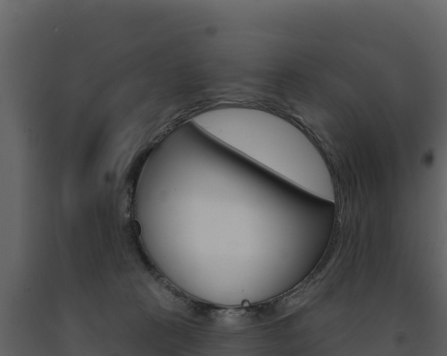 X0000091720273200708241027