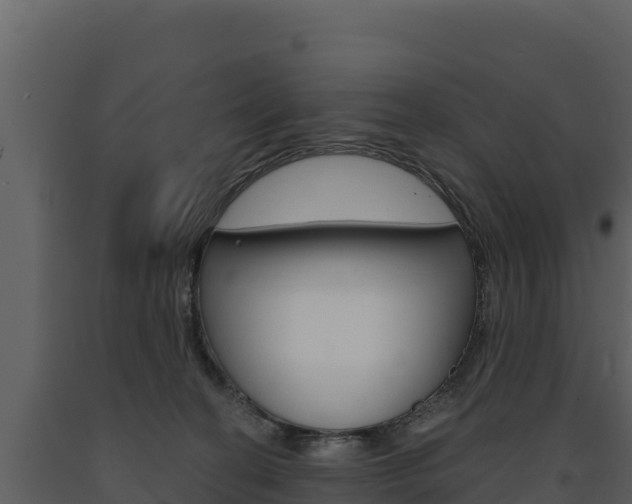 X0000091720274200708241027