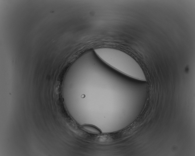 X0000091720275200708241027