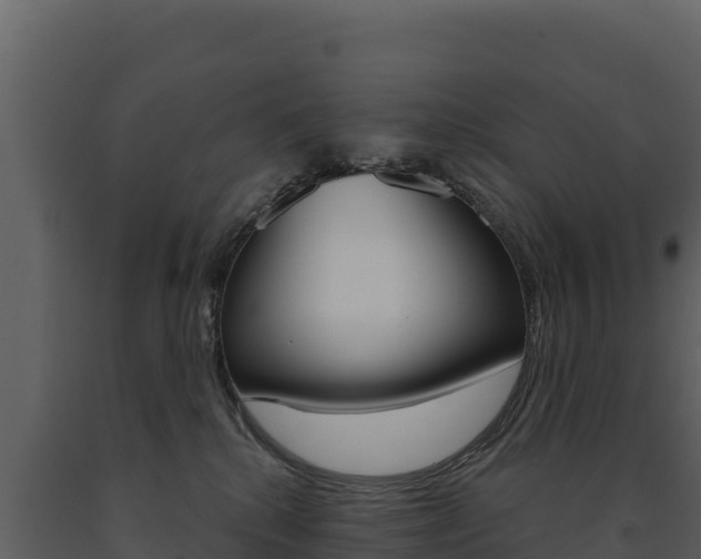 X0000091720280200708241027