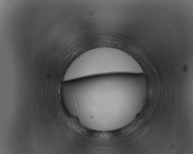X0000091720282200708241027