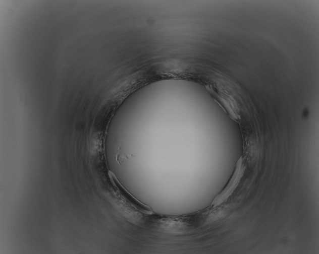 X0000091720284200708241027