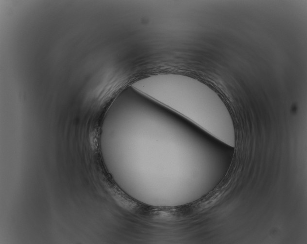 X0000091720285200708241027