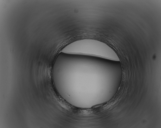 X0000091720286200708241027
