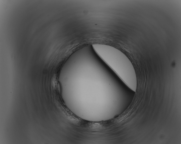 X0000091720287200708241027