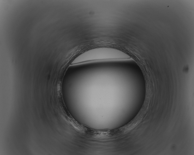 X0000091720288200708241027