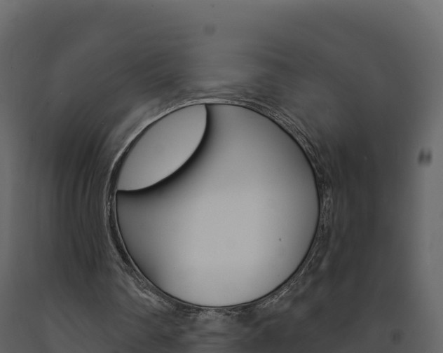 X0000091720290200708241026