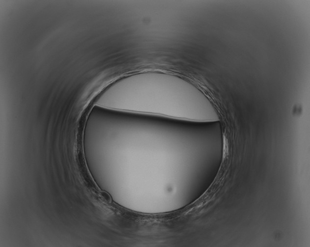 X0000091720291200708241026