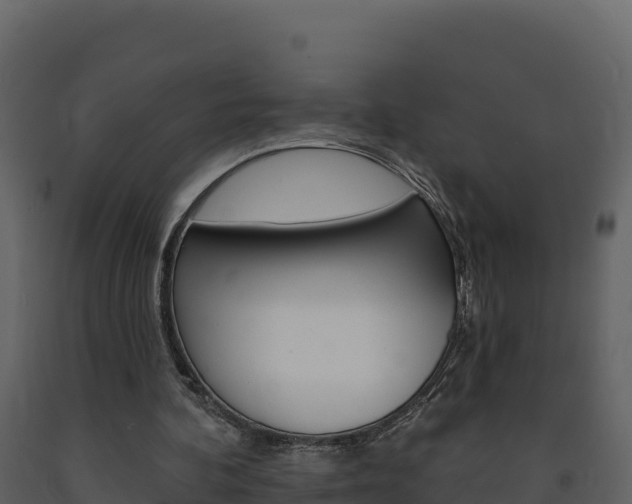 X0000091720292200708241026