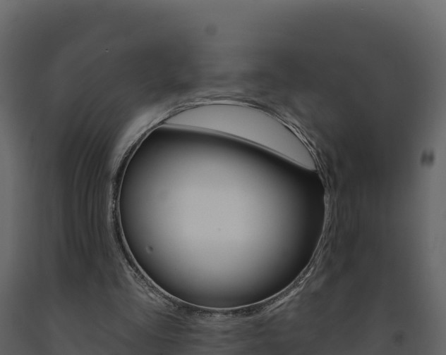 X0000091720293200708241026
