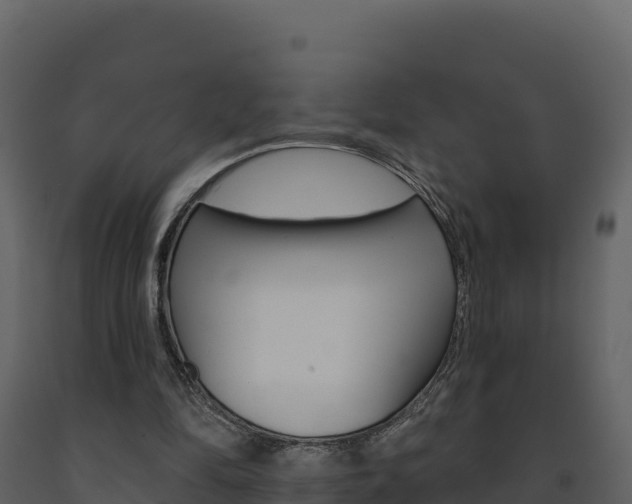 X0000091720294200708241026