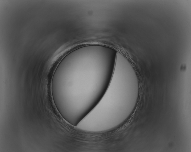 X0000091720295200708241026