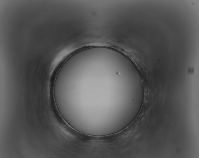 X0000091720296200708241026