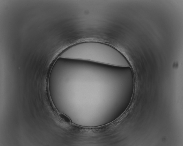 X0000091720297200708241026