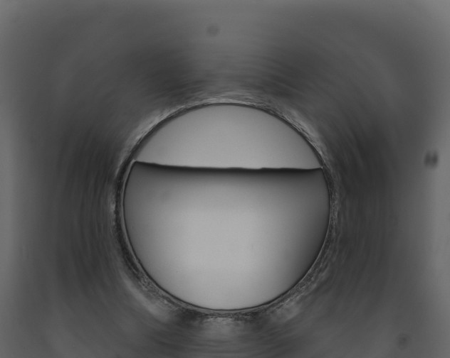 X0000091720298200708241026