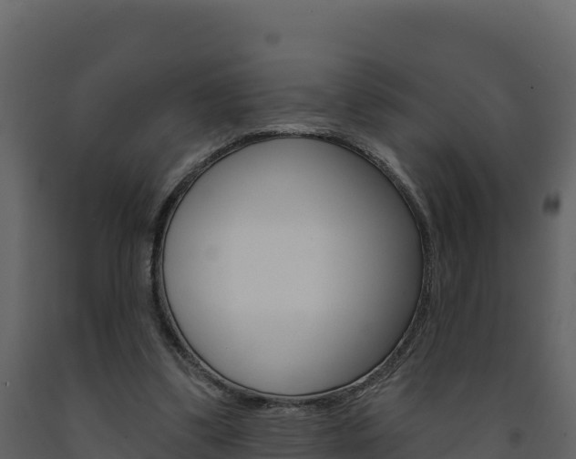 X0000091720299200708241026