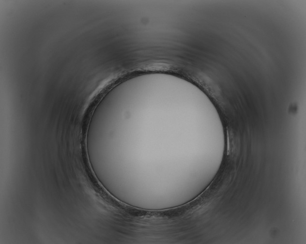 X0000091720300200708241026