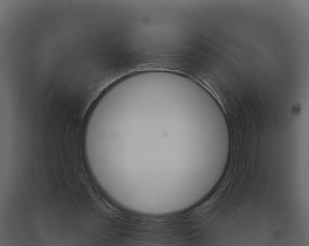 X0000091720301200708241026