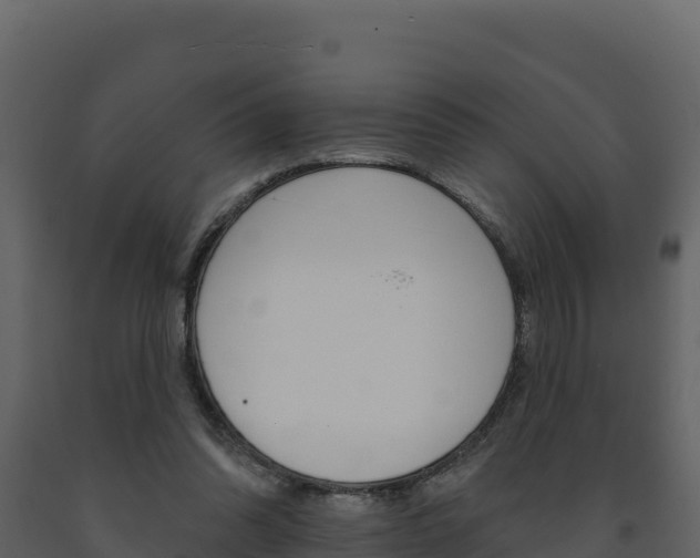X0000091720302200708241026