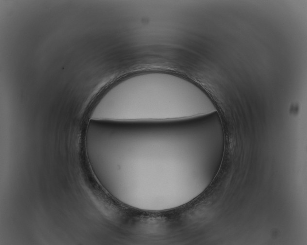 X0000091720304200708241026