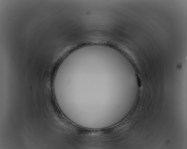 X0000091720306200708241026