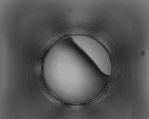 X0000091720309200708241026