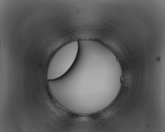 X0000091720310200708241026