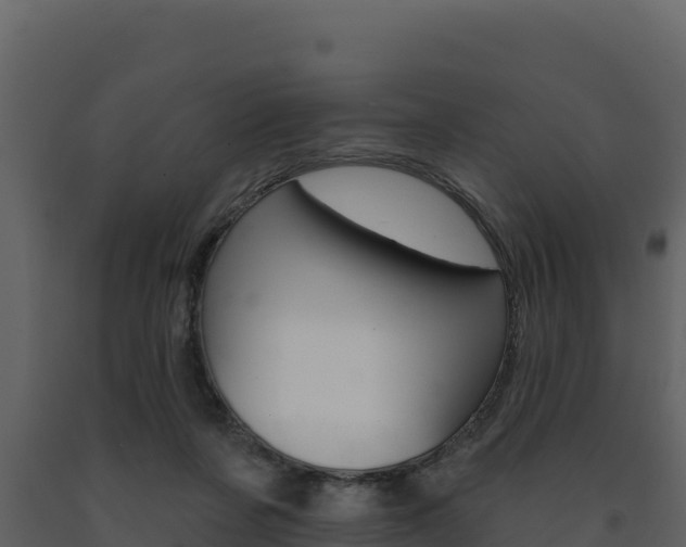 X0000091720311200708241026