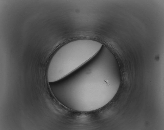 X0000091720312200708241026