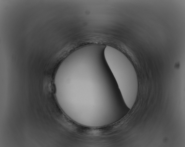 X0000091720313200708241026