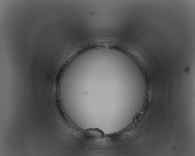 X0000091720314200708241026