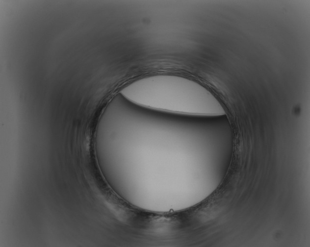 X0000091720315200708241026