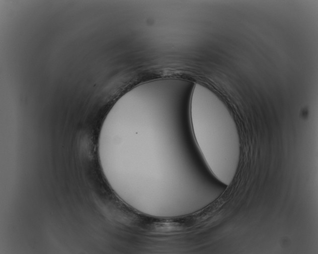 X0000091720316200708241026