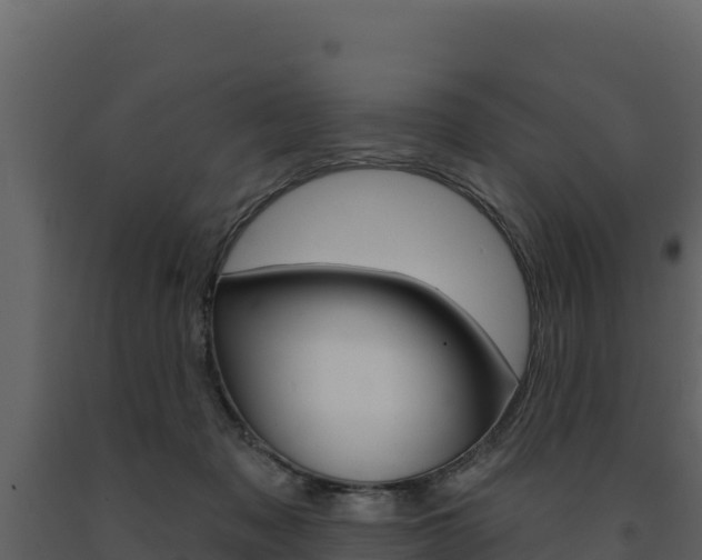 X0000091720317200708241026