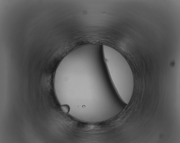 X0000091720319200708241026
