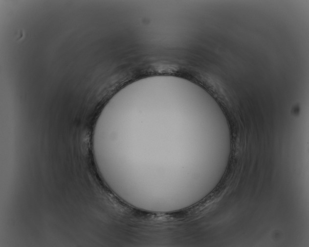 X0000091720321200708241026