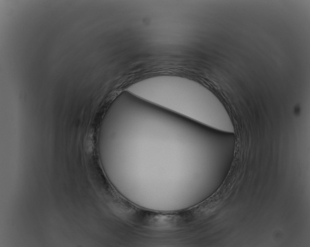 X0000091720323200708241026