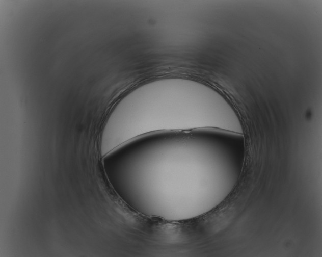 X0000091720325200708241026