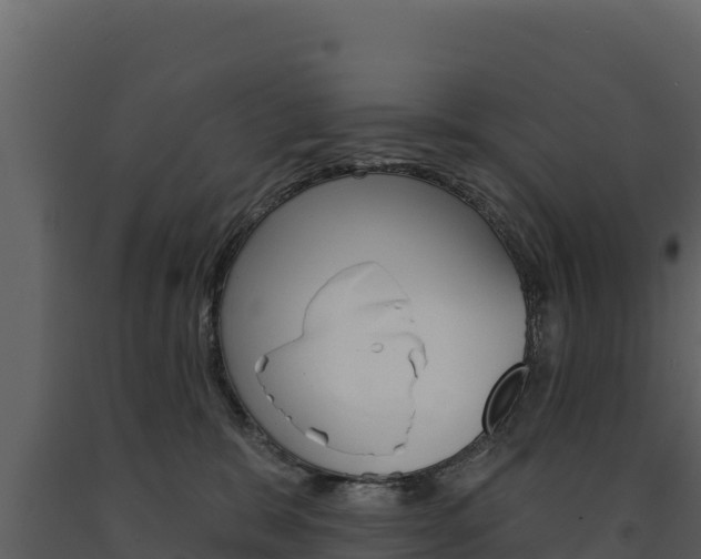 X0000091720327200708241026